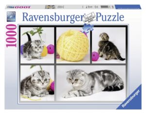 Пъзел Ravensburger от 1000 части - Любопитни котета