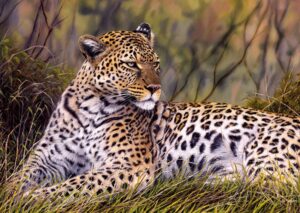 Пъзел Schmidt от 1000 части - Царят на саваната