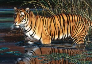 Пъзел Schmidt от 1000 части - Тигър