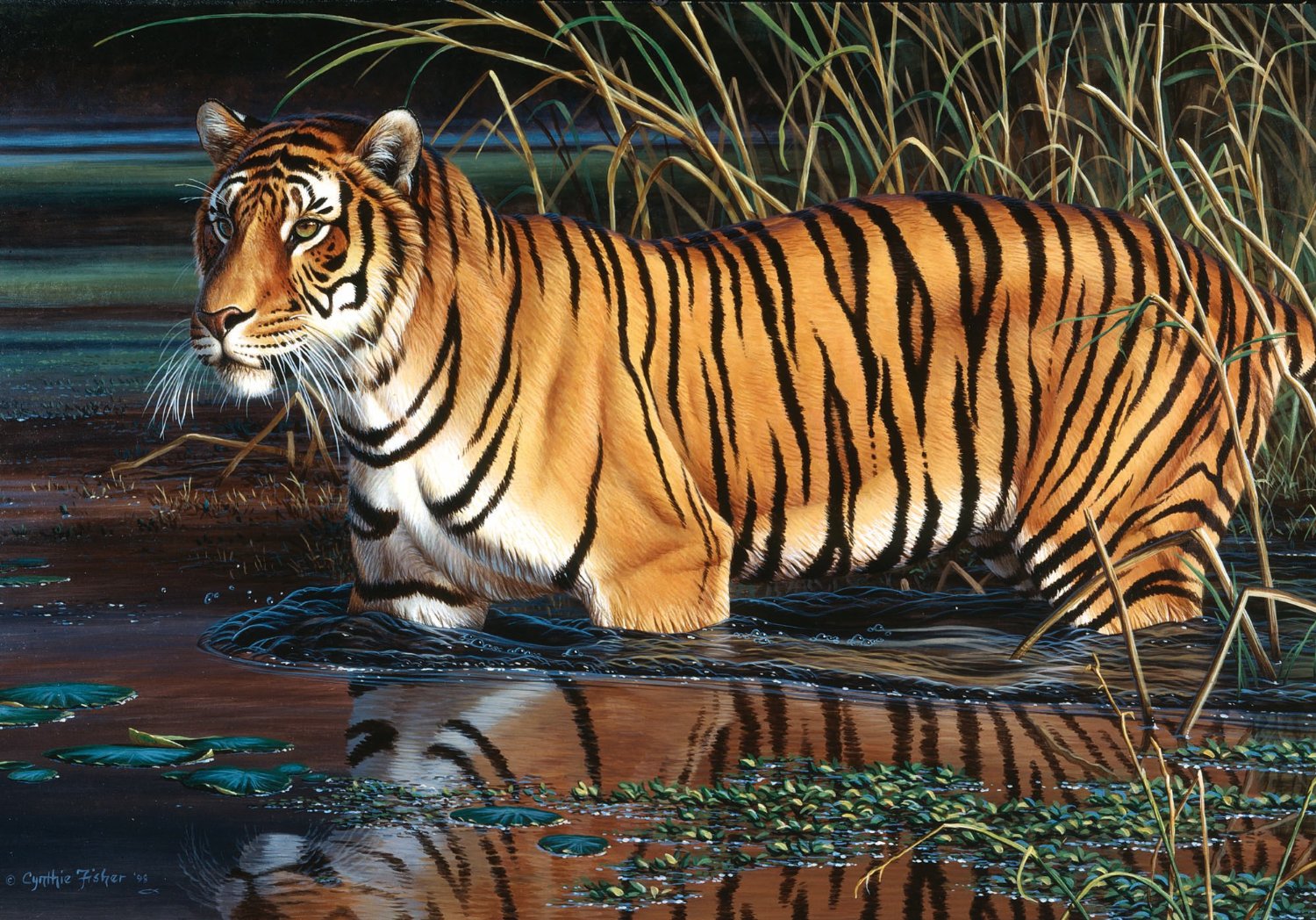 Пъзел Schmidt от 1000 части - Тигър  