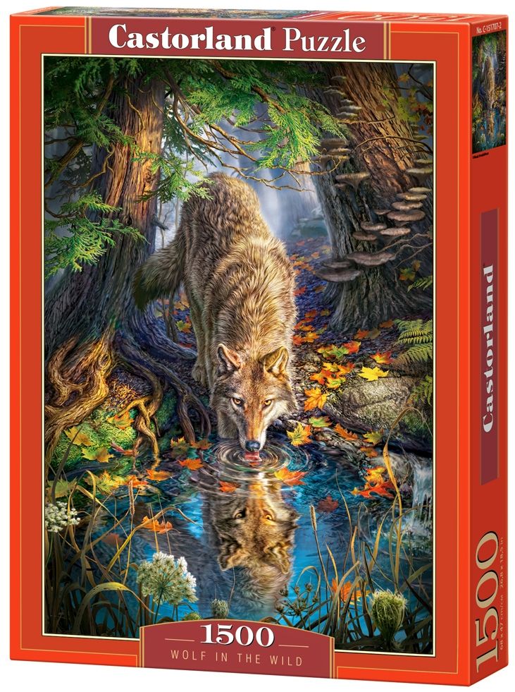 Пъзел Castorland от 1500 части - Вълк в дивото
